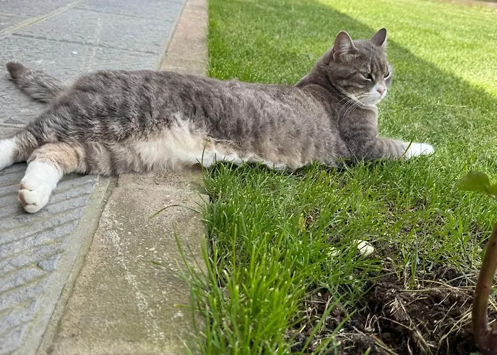 Casa Delle Apartamento Siena