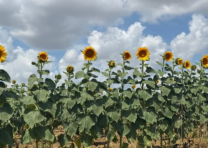 Apartamento Casa Delle Siena
